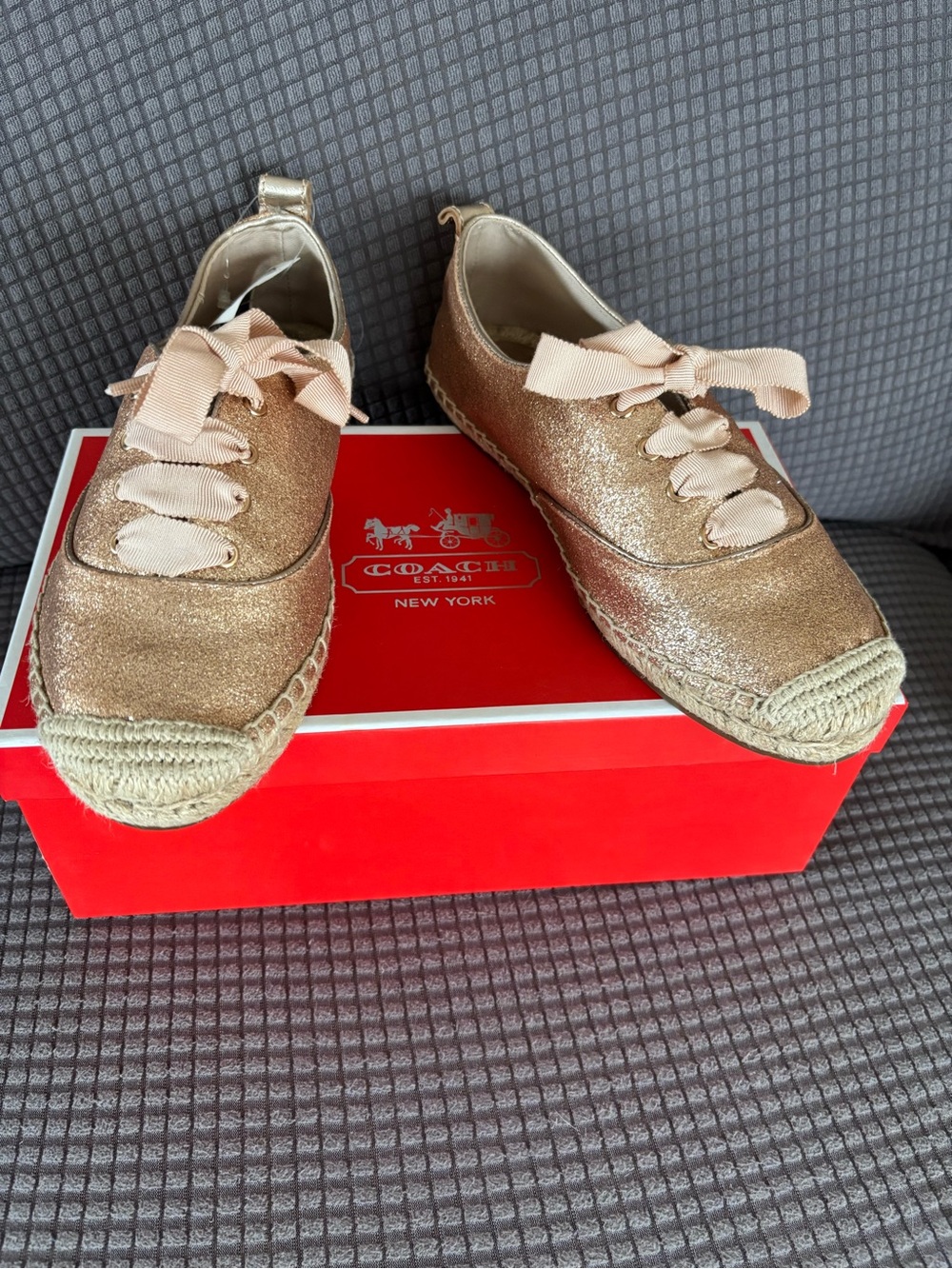 COACH Metallic Gold Glitter Espadrille Lace-Up Shoes